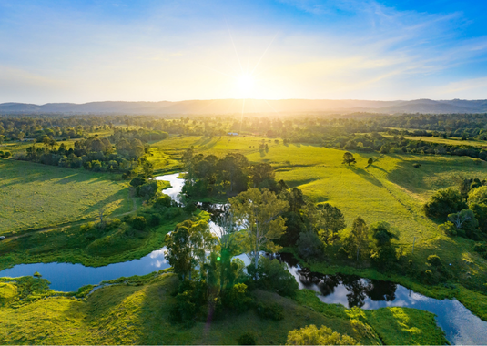 Lilywood Landings