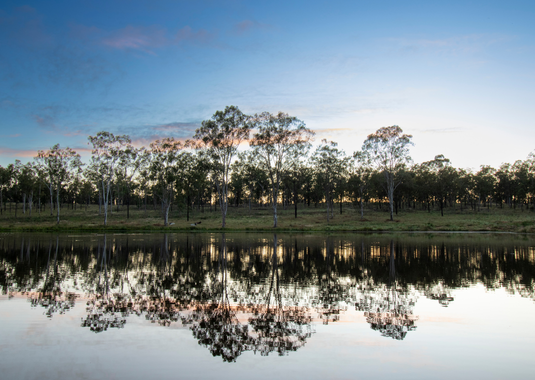 Park Lake